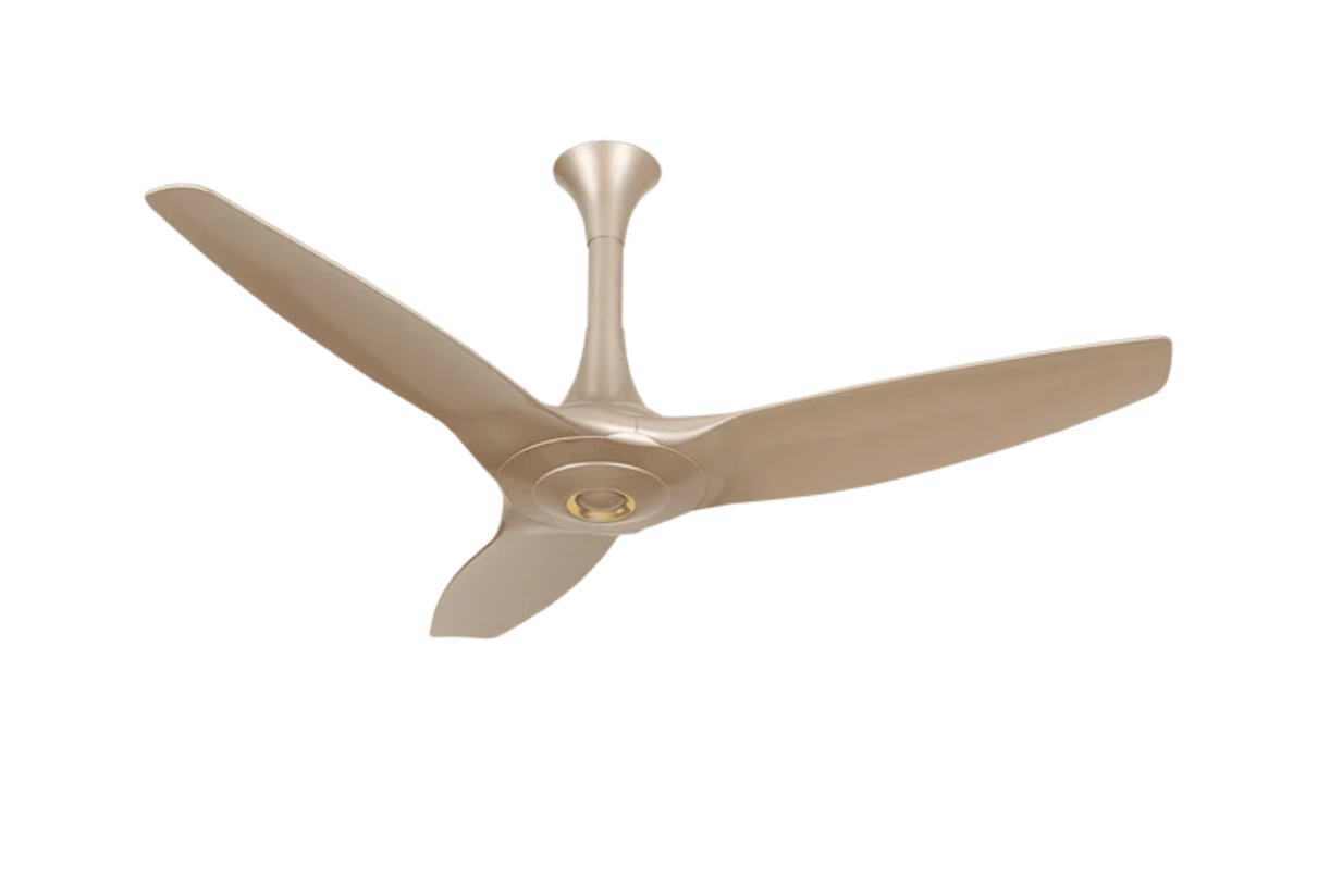 Walton Gloria Ceiling Fan
