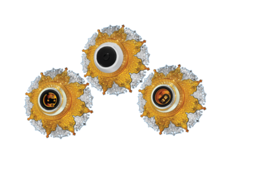 Decorative Holder & Ceiling Rose